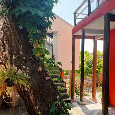 Apartamento Morada Cacauera Itacaré Exterior foto